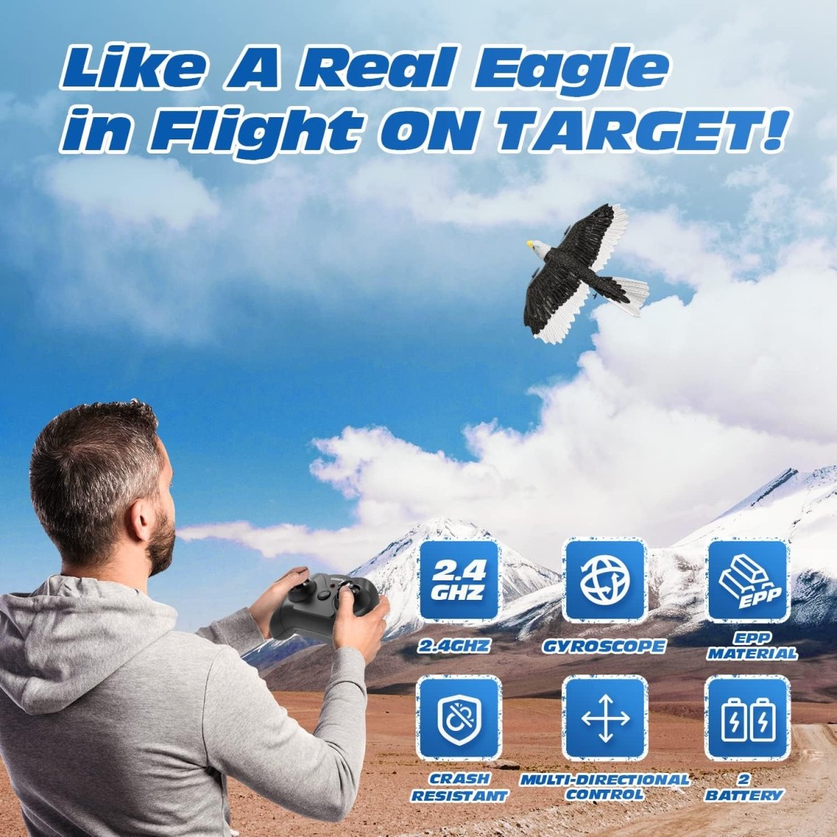 DEERC RC Plane Remote Control Eagle Plane RTF Airplane 2.4GHZ 2CH Flying Bird