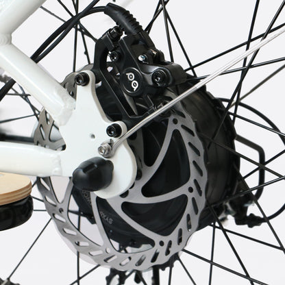 EUNORAU Max-Cargo Electric Bike with Rear Hub Motor Dual Battery E-Bike Bicycle